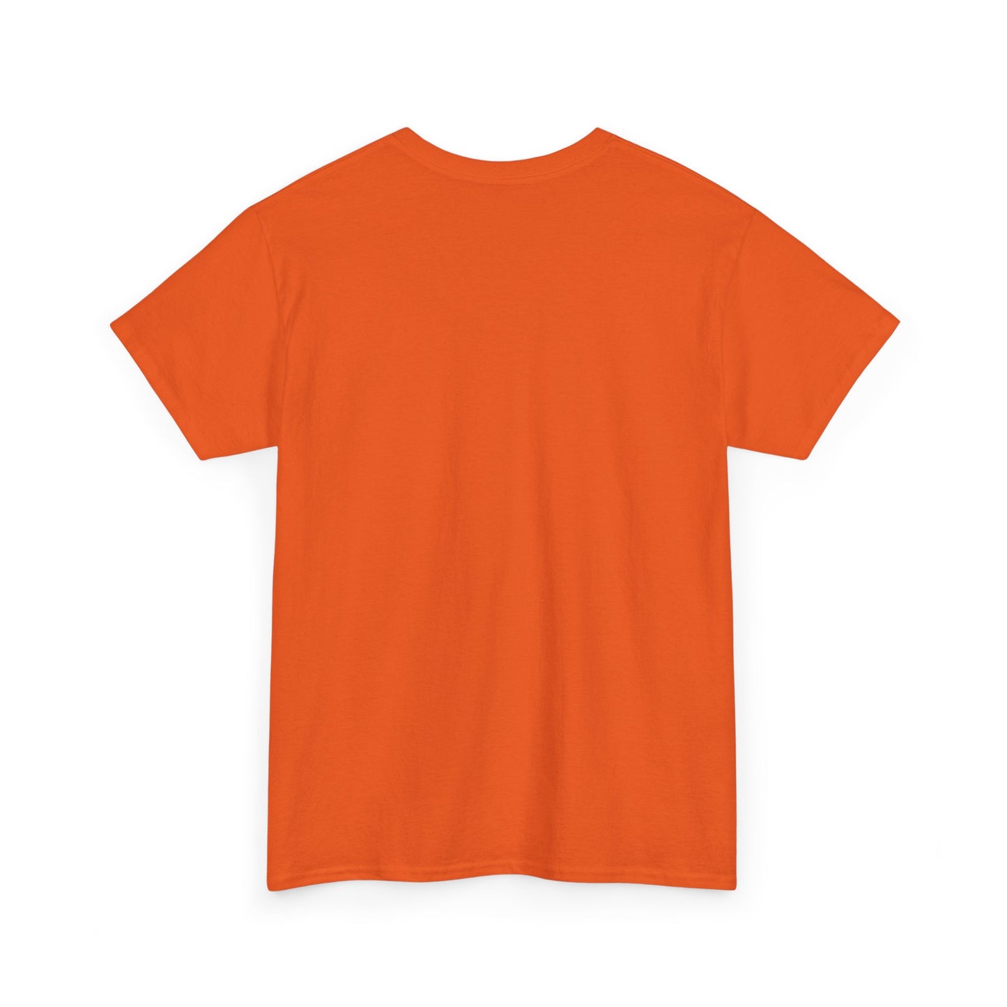 Occupy Mars Unisex Heavy Cotton Tee - Futuristic Space Shirt for Sci-Fi Lovers, Visionary Gift, Casual Wear, Trendy Apparel