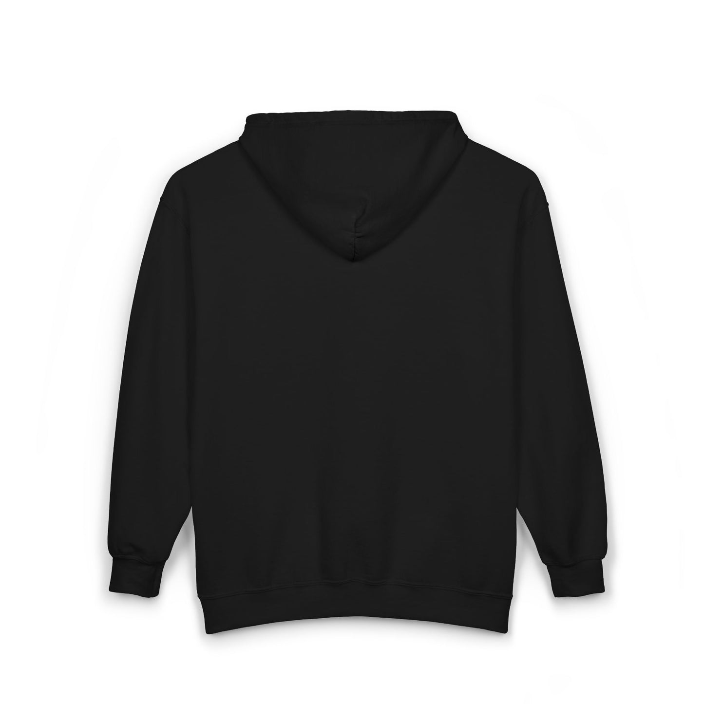 Full Zip Hooded OCCUPY MARS Sweatshirt